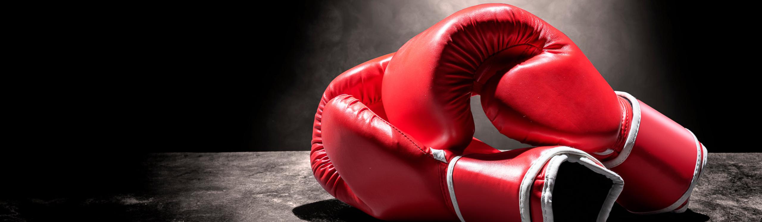 Pair of red boxing gloves under the light