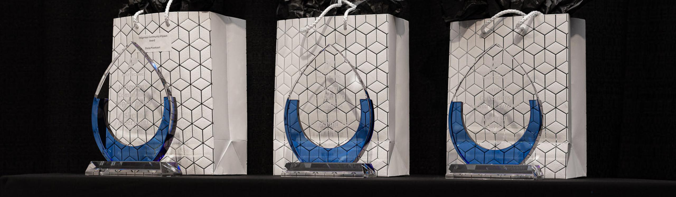Three gift bags with awards sitting on a table