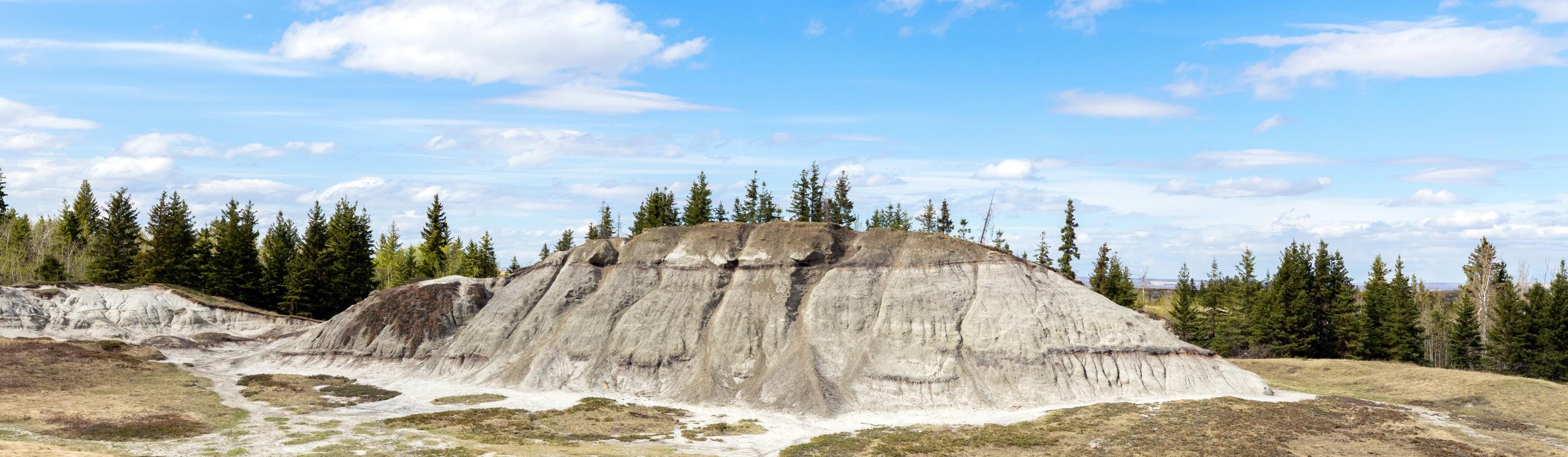 View of Kleskun Hills with rolling grasslands and forested areas under a blue sky.